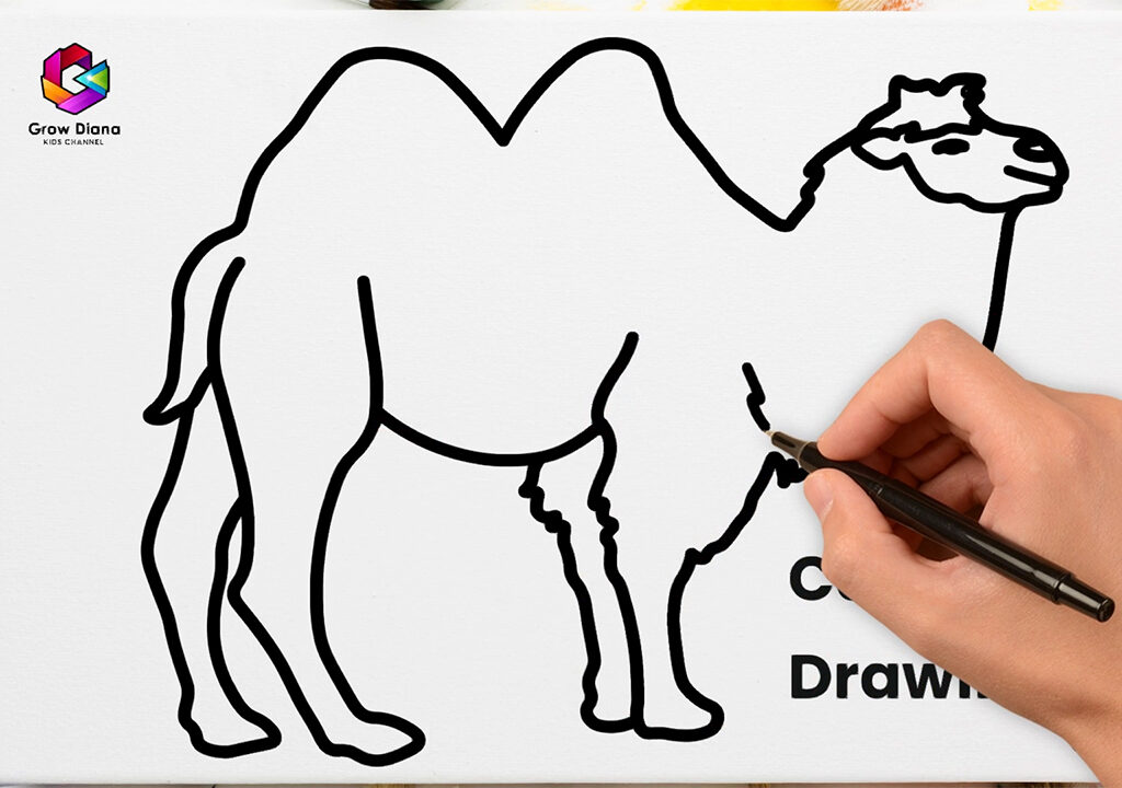 Camel Drawing, Kids Drawing ideas, Cute Animal Drawing