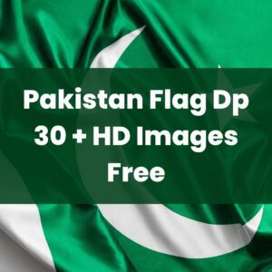 Pakistan Flag Dp