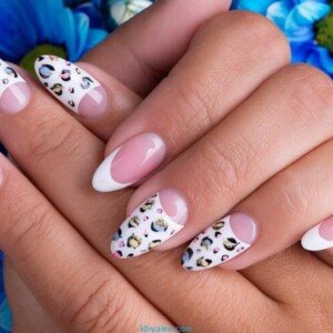 beautiful woman s nails with beautiful french manicure art design 186202 5311 beautiful woman s nails with beautiful french manicure art design 186202 5311