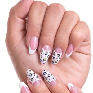 beautiful woman s nails with beautiful french manicure 186202 6675