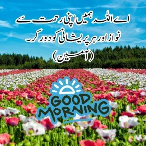 good morning wishes in urdu