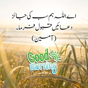 good morning wishes in urdu