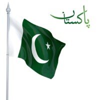 Pakistan Flag Dp 14 august independence day