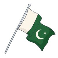 Pakistan Flag pic