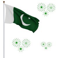 Pakistan Flag Dp