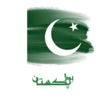 30+ Pakistan Flag Dp HD Images Free Pic 56 Pakistan Flag Dp 14 august independence day