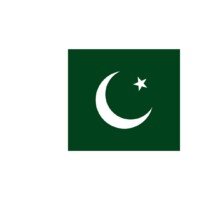 254643706 Pakistan Flag Dp