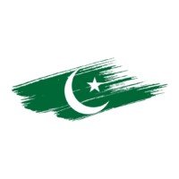 Abstract paskitan flag in brush stroke style