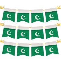 Pakistan paper flags celebration