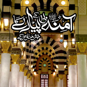14+ Eid Milad un Nabi Status HD Images Free 28 Eid Milad un Nabi Status