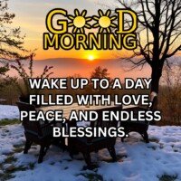 Good Morning Blessings Quotes