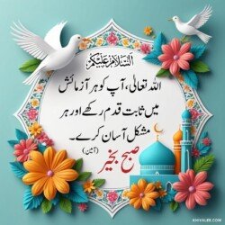free 3D Dua Good Morning beautiful Islamic HD images with roses and flowers and dove or pigeon birds with mosque and Islamic frames and shapes with birds art