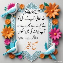 free 3D Dua Good Morning beautiful Islamic HD images with roses and flowers and dove or pigeon birds with mosque and Islamic frames and shapes with birds art