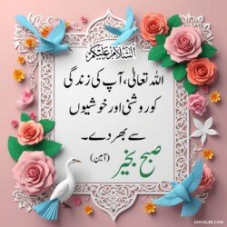Free 100+ good morning dua in urdu 3D Islamic Images 107 free 3D Dua Good Morning dua beautiful Islamic HD images with roses and flowers and dove or pigeon birds with mosque and Islamic frames and shapes with birds art