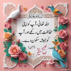 free 3D Dua Good Morning beautiful Islamic HD images with roses and flowers and dove or pigeon birds with mosque and Islamic frames and shapes with birds