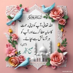 free 3D Dua Good Morning beautiful Islamic HD images with roses and flowers and dove or pigeon birds with mosque and Islamic frames and shapes with birds